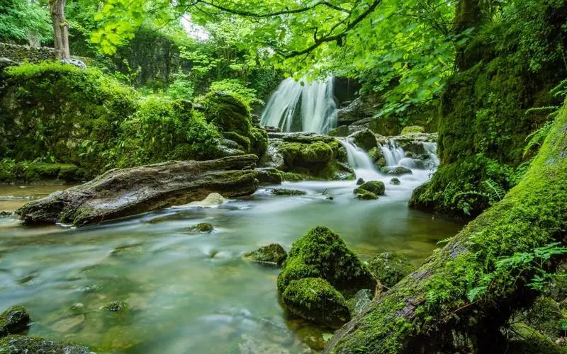 高端电子